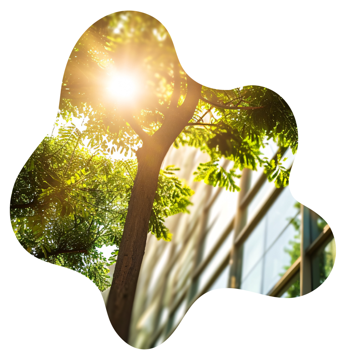 SUSTENTABILIDADE_ 1050x1091.png
